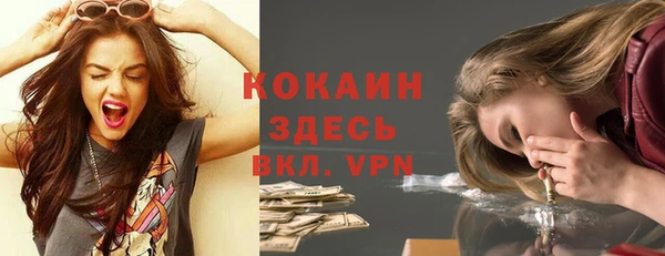 крисы Алексин